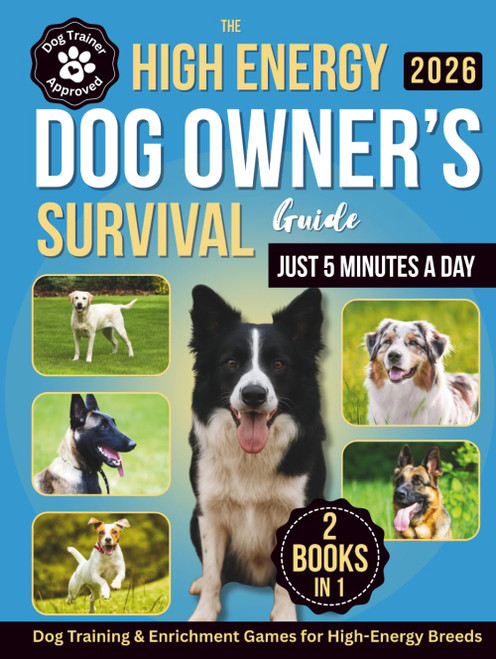 The High-Energy Dog Owner's Survival Guide