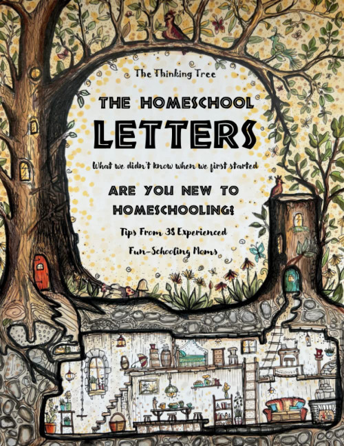 The Homeschool Letters - What We Didn't Know When We First Started