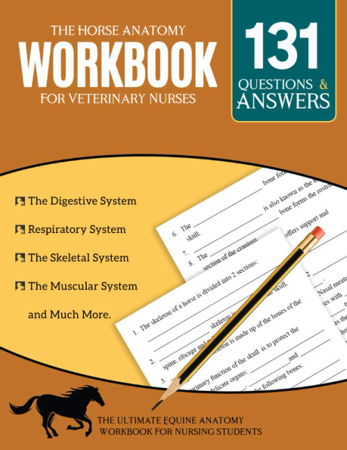 The Horse Anatomy Workbook For Veterinary Nurses