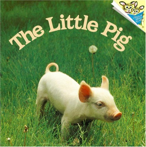 The Little Pig