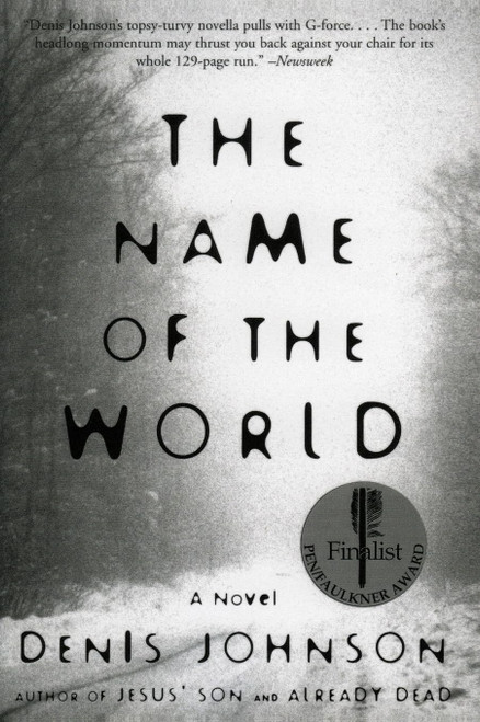 The Name of the World: A Darkly Comic Novel About a Professor's Life