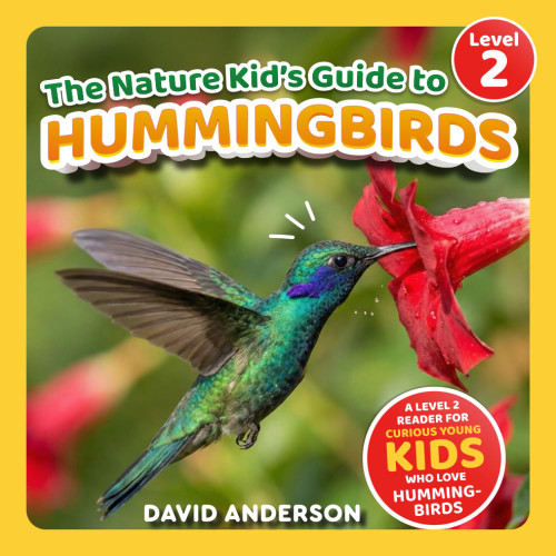 The Nature Kid's Guide to Hummingbirds