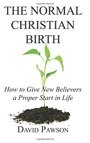 The Normal Christian Birth: How to Give New Believers a Proper Start in