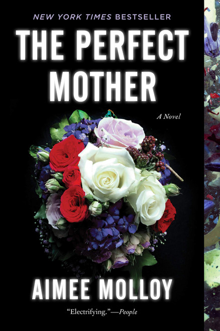 The Perfect Mother: A Gripping Domestic Thriller of Park Slope Motherhood