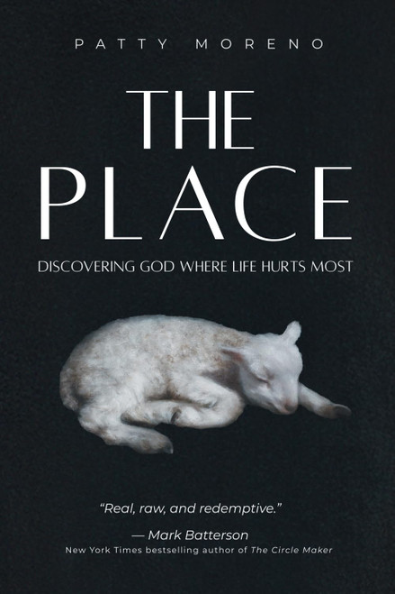 The Place: Discovering God Where Life Hurts Most