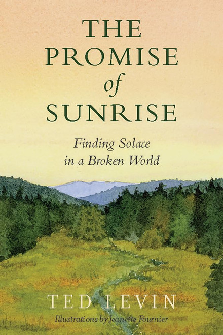 The Promise of Sunrise: Finding Solace in a Broken World