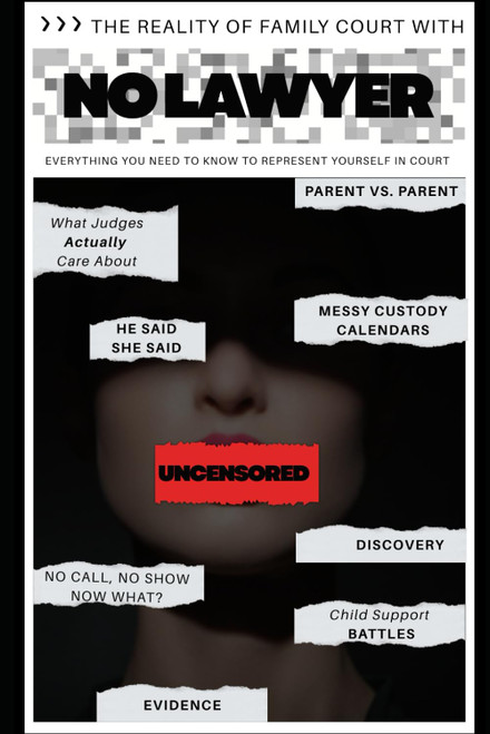 The Reality of Family Court with NO LAWYER
