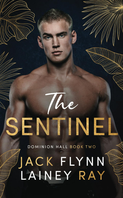 The Sentinel: A Dark Billionaire Military Romance