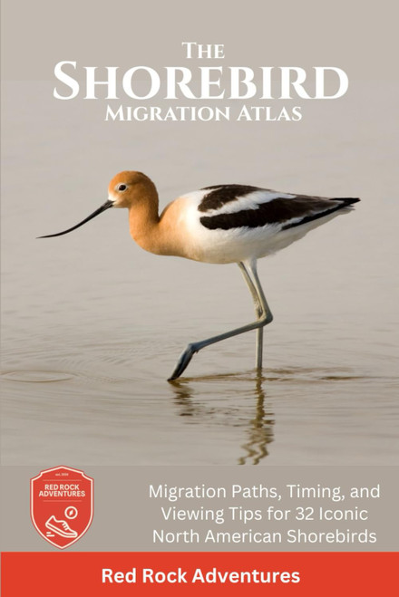 The Shorebird Migration Atlas: Migration Paths