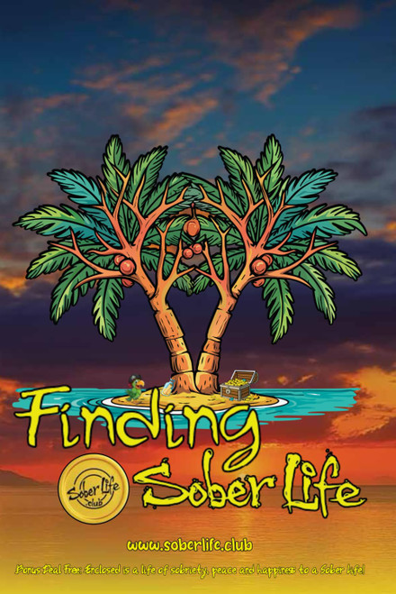 THE SOBER LIFE A Practical Guide to Getting Sober