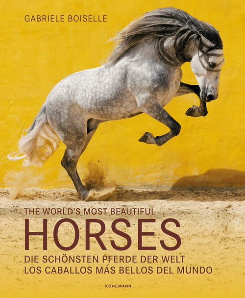 The World's Most Beautiful Horses