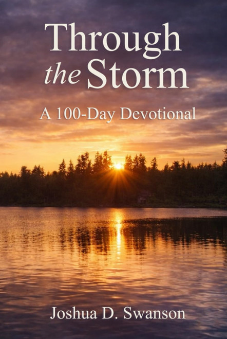 Through the Storm: A 100-Day Devotional: Through the Storm: A 100-Day