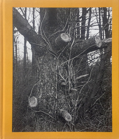 Tim Carpenter: Christmas Day, Bucks Pond Road