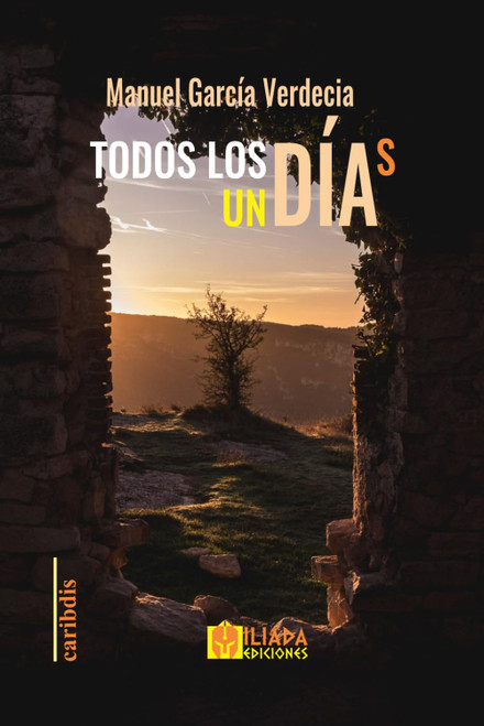 Todos los días un día (Spanish Edition)