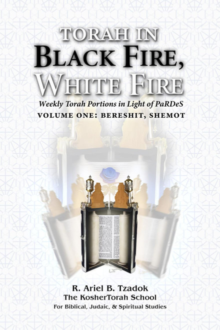 Torah in Black Fire, White Fire: Weekly Torah Portions in Light of