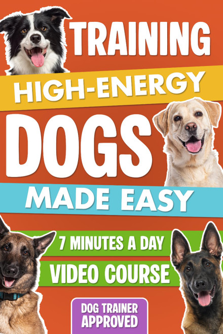 Training High-Energy Dogs Made Easy: A Step-by-Step Guide with Routines