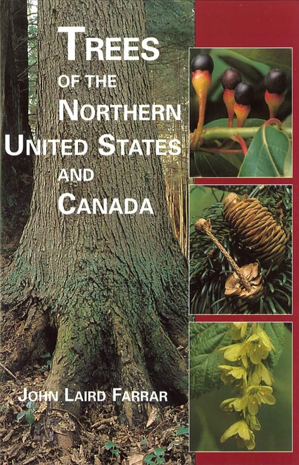 Trees of the Northern United States and Canada