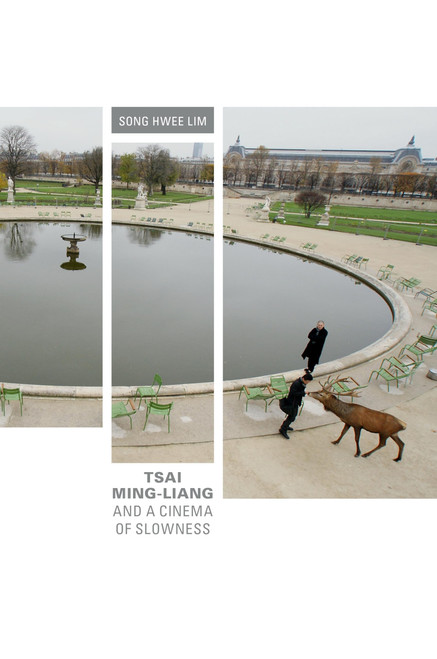 Tsai Ming-liang and a Cinema of Slowness