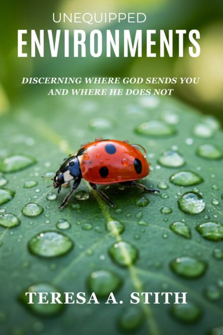 Unequipped Environments: Discerning Where God Sends You and Where He Does