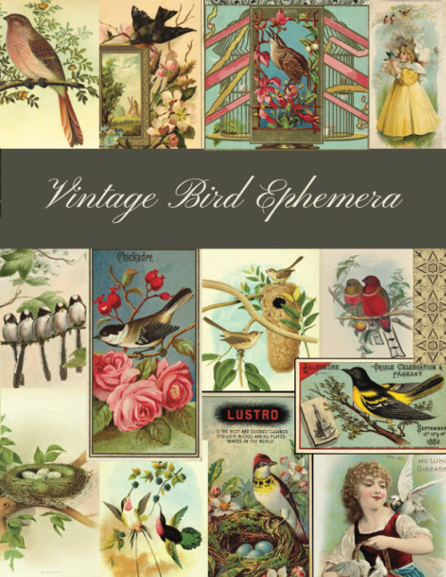 Vintage Bird Ephemera: A Beautiful Collection for Junk Journals