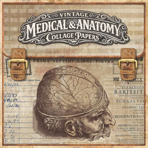 Vintage Medical & Anatomy Collage Papers