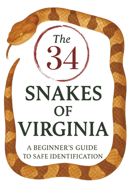 Virginia Snakes: A Field Guide for Quick and Easy Identification: