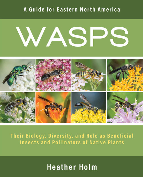 Wasps: Their Biology, Diversity, and Role as Beneficial Insects and