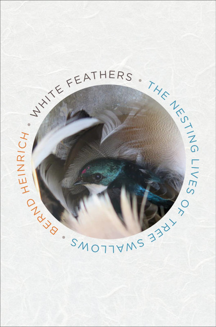 White Feathers: The Nesting Lives of Tree Swallows – Questions and Insights from an Acclaimed Naturalist