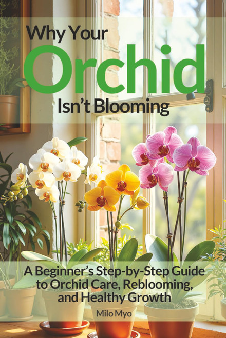 Why Your Orchid Isn't Blooming: A Beginner's Step-by-Step Guide to Orchid