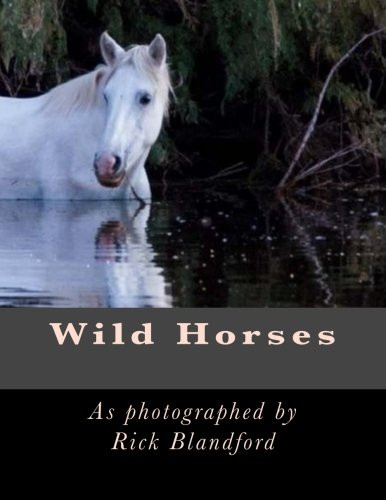 Wild Horses
