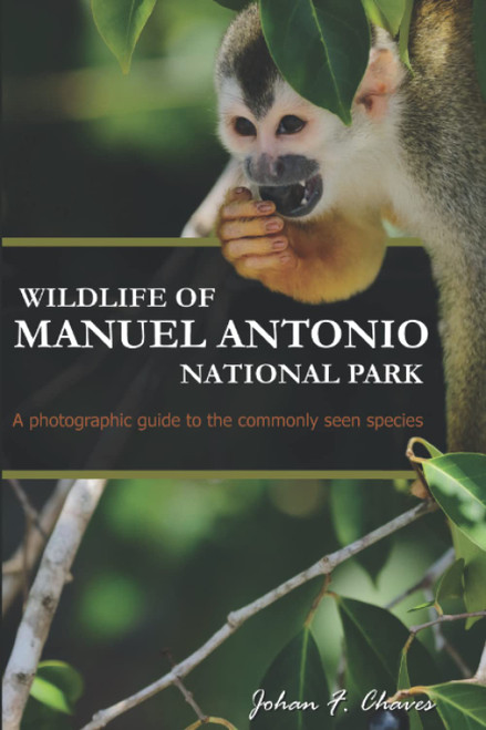 Wildlife of Manuel Antonio National Park