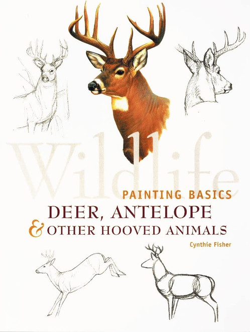 Wildlife Painting Basics: Deer, Antelope & Other Hooved Animals