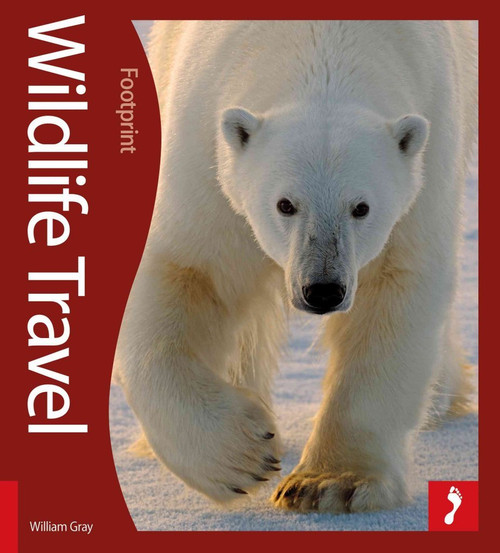 Wildlife Travel: 500 Ways To See Animals In Their Natural Habitat