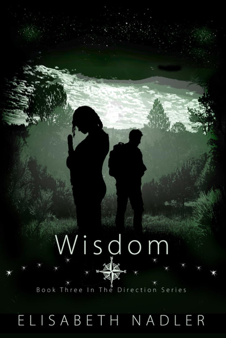 Wisdom: Book Three in The Direction