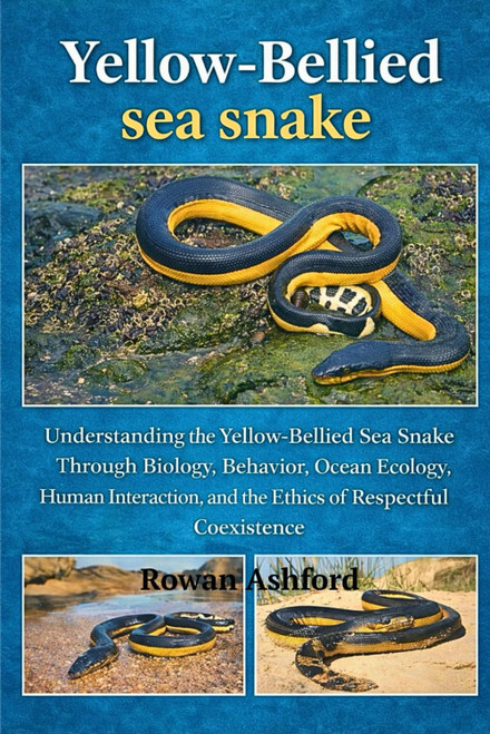 YELLOW - BELLIED SEA SNAKE: Understanding the Yellow-Bellied Sea Snake