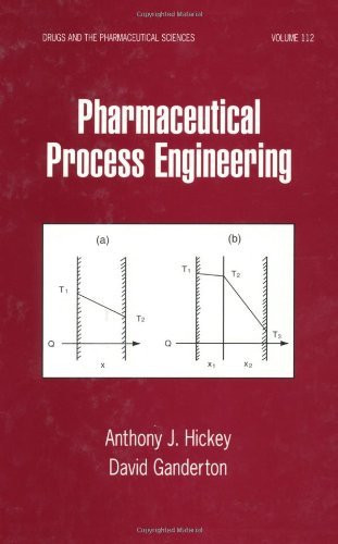 Pharmaceutical Process Engineering