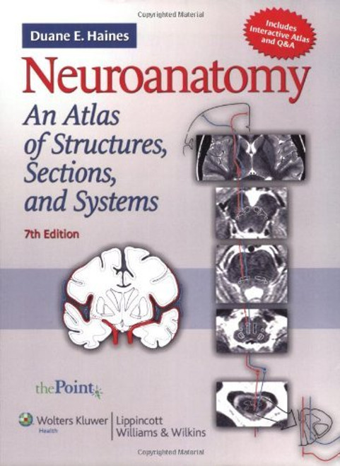 Neuroanatomy