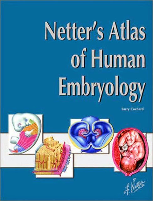 Netter's Atlas Of Human Embryology
