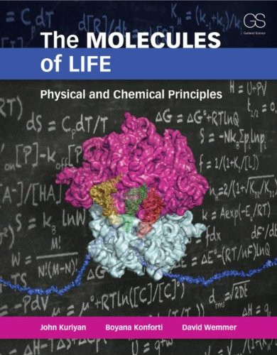 Molecules Of Life