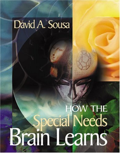 How The Special Needs Brain Learns