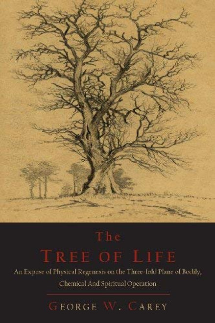 Tree Of Life