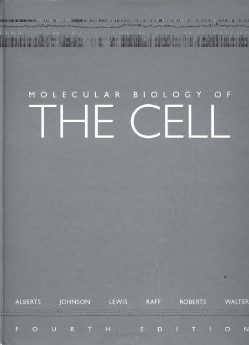 Molecular Biology Of The Cell