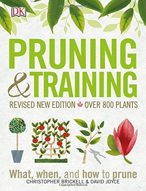 Pruning and Training Revised New Edition