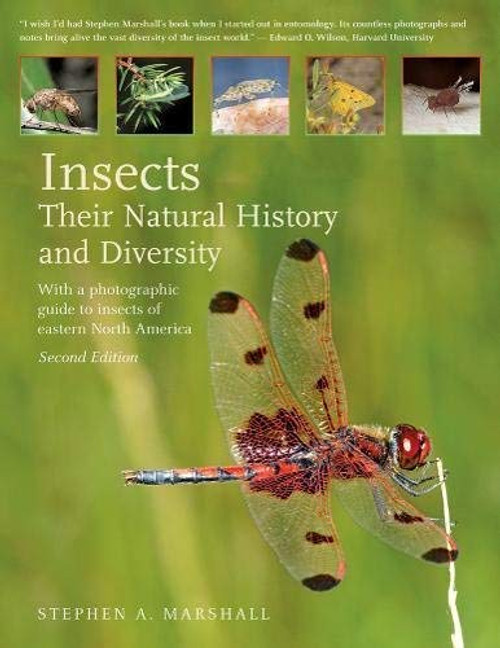 Insects: Their Natural History and Diversity