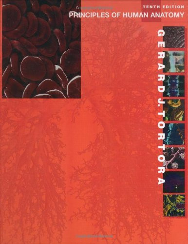 Principles Of Human Anatomy  by Gerard J Tortora