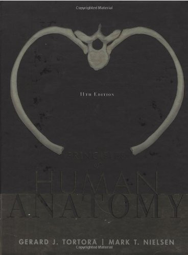 Principles Of Human Anatomy