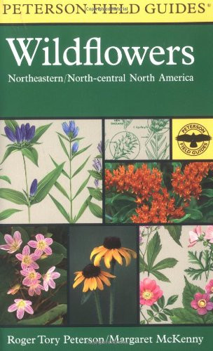 Field Guide To Wildflowers