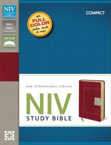 NIV Study Bible