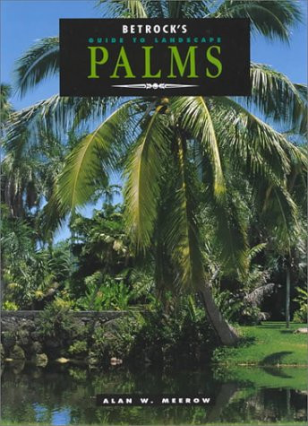 Betrocks Guide To Landscape Palms