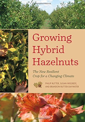 Growing Hybrid Hazelnuts